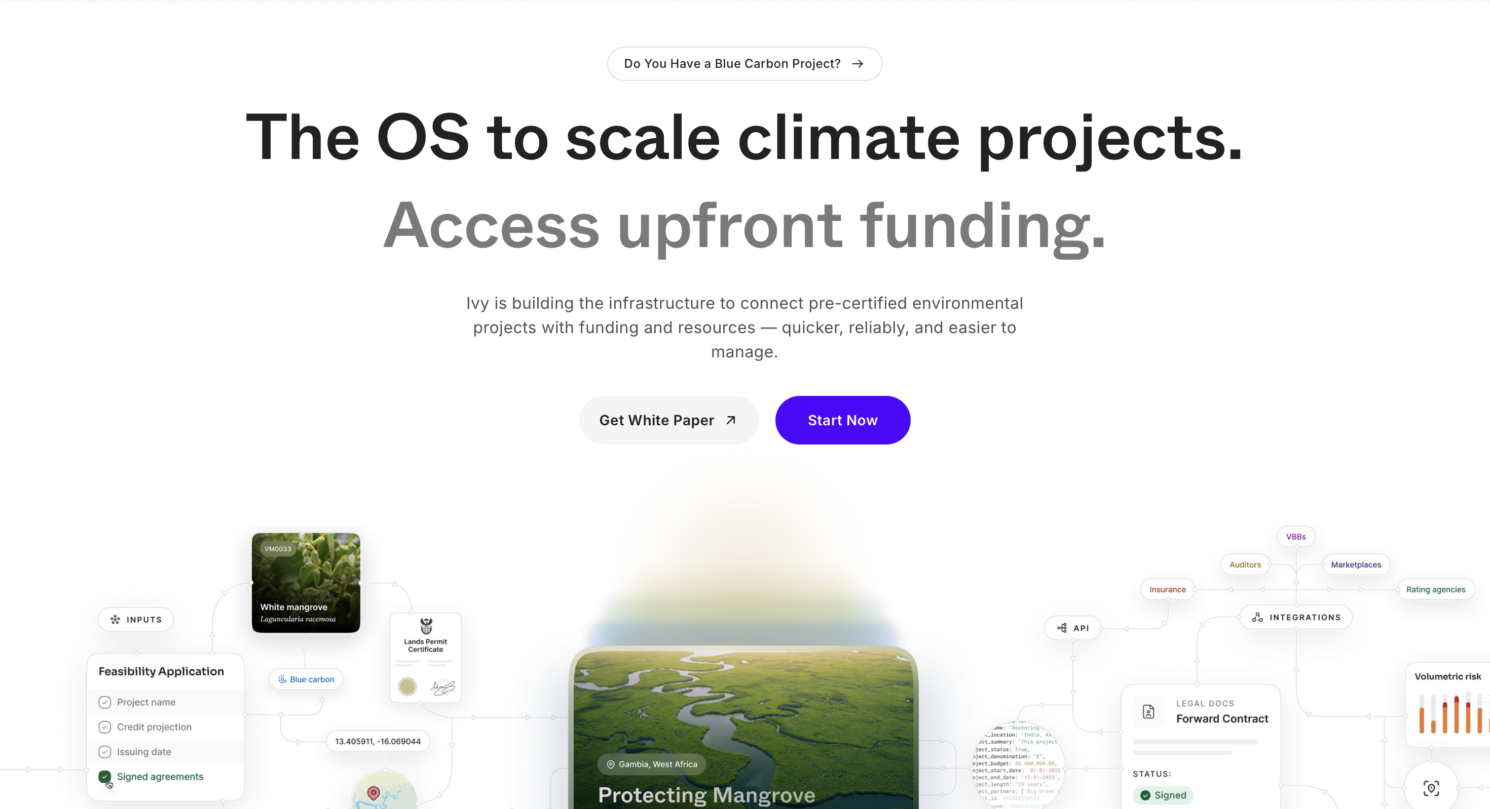 Ivy outputs